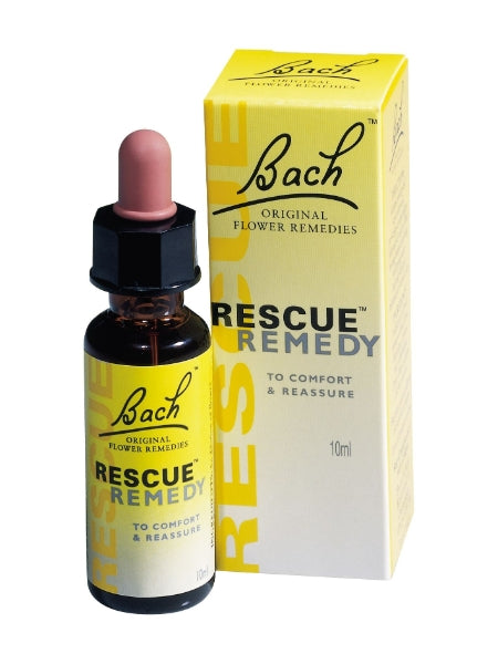 BACH-50761999-1.jpg