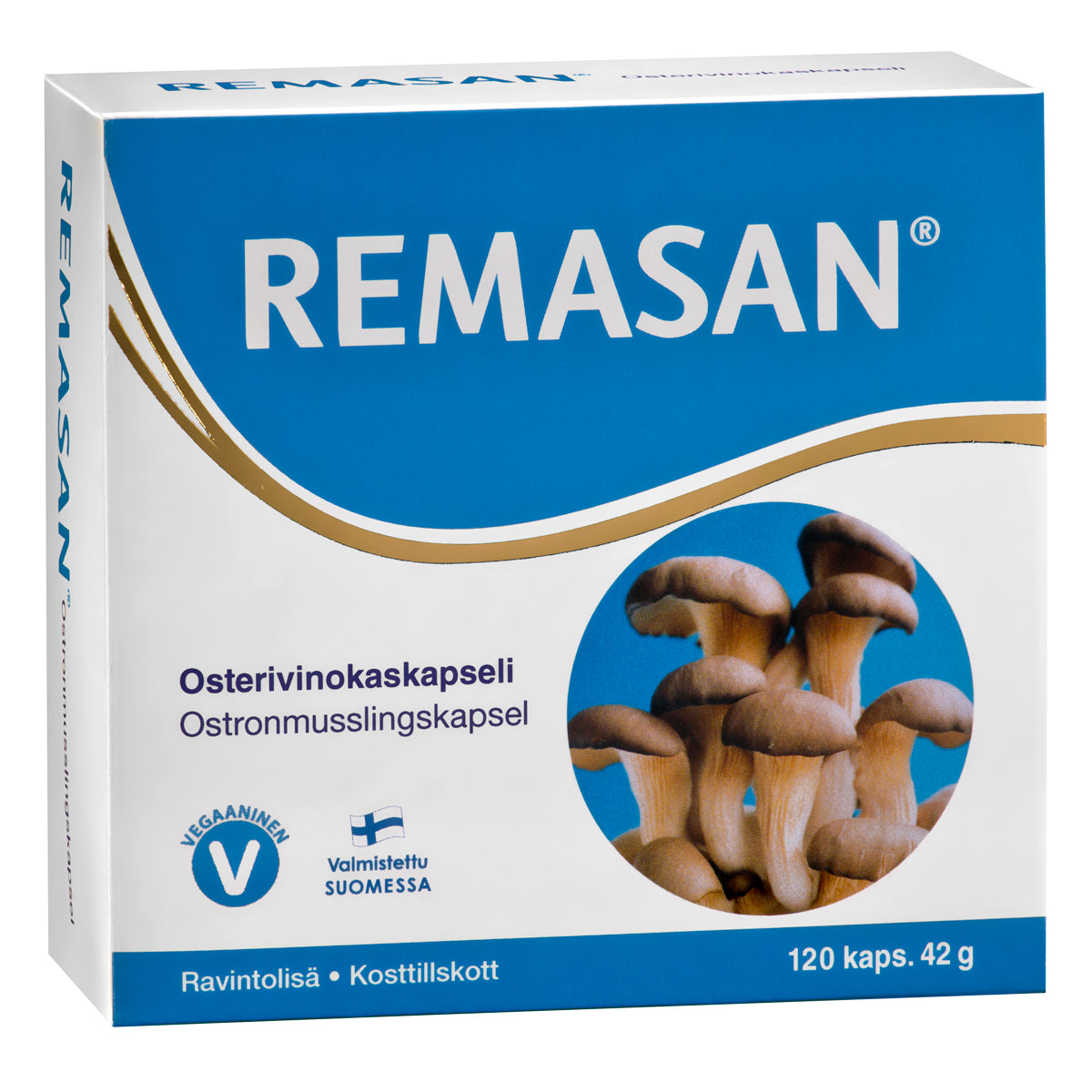 REMASA-6428300002397-1.jpg