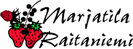 RAITA-6420616471034-1.png