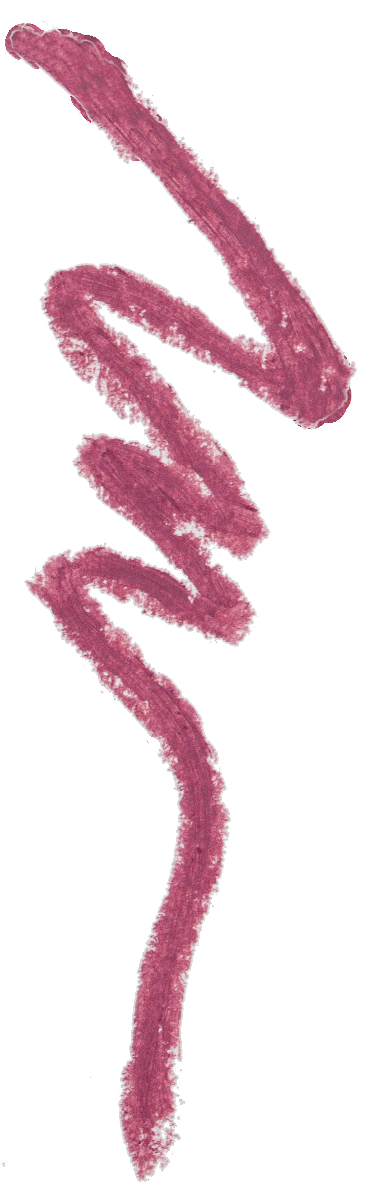 Lip Contour Lip Liner, Black Berry 06, 1,4 g - huultenrajauskynä