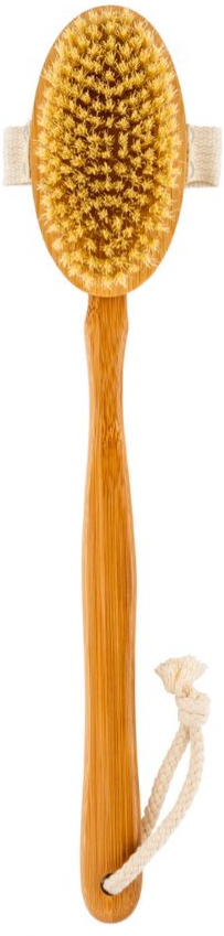 IBERO-6413890090756-1.PNG